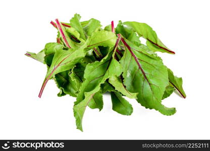 New harvest Red Veined Beet Leaves on an isolated white background