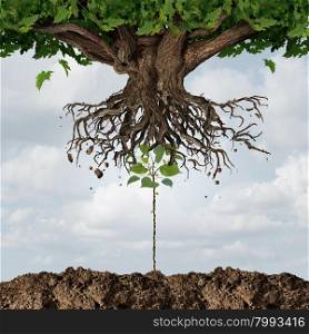 New leadership takeover or taking over concept or development and renewal business symbol as an emerging young sapling pushing out an older more established tree as a success metaphor for a start up or emerging competitor.