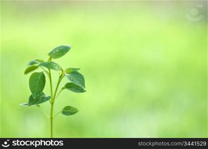 New life against spring green natural background. Ecology concept