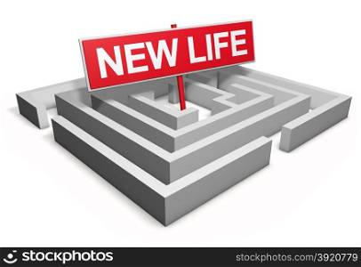 New life concept with a labyrinth and a red goal sign 3d render illustration isolated on white background.