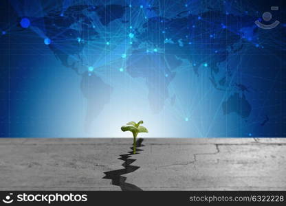 New life concept with sprout growing through crack - 3d rendering. The new life concept with sprout growing through crack - 3d rendering