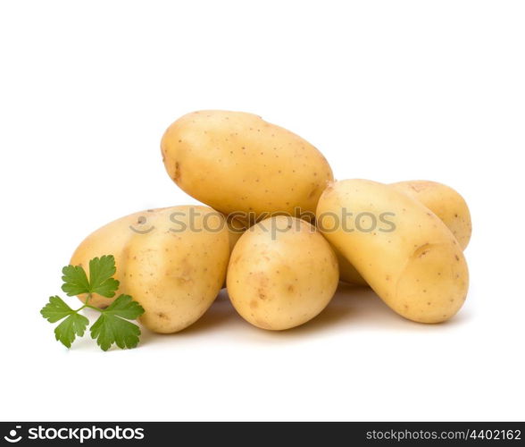 New potato and green parsley isolated on white background close up