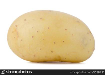 New potato isolated on white background close up.