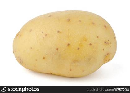 New potato isolated on white background close up.