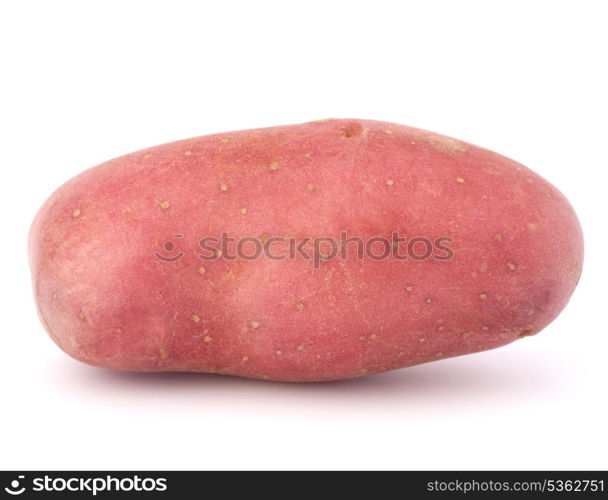 New potato tuber isolated on white background cutout