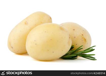 New potatoes and green herbs isolated on white background close up.