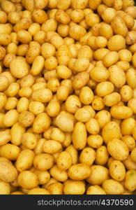 new potatos in a street market, closeup photo