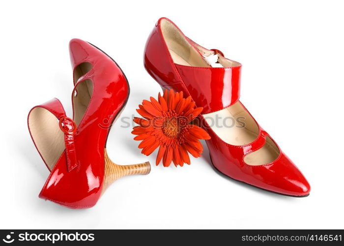 New red shoes and flower