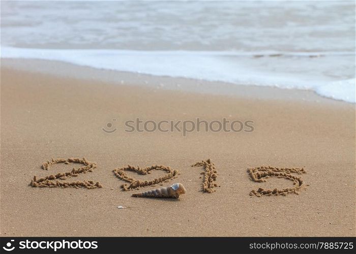 New year 2015 write on sand beach and ocean view