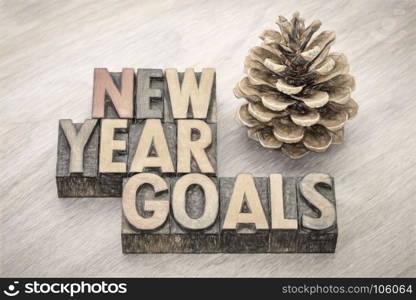 New Year goals word abstract in vintage letterpress wood type with a pine cone, digital painting filter applied