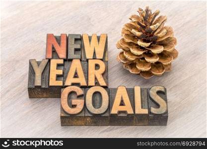 New Year goals word abstract in vintage letterpress wood type with a pine cone