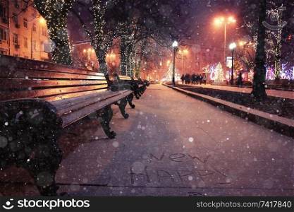 New Year in the city park, night landscape bench