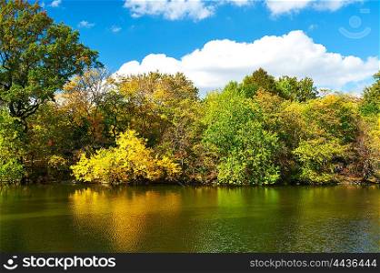 New York City Central Park in autumn day