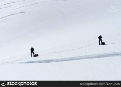 New Zealand. Group of people walking among snows of New Zealand Alps