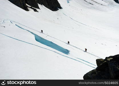 New Zealand. Group of people walking among snows of New Zealand mountains