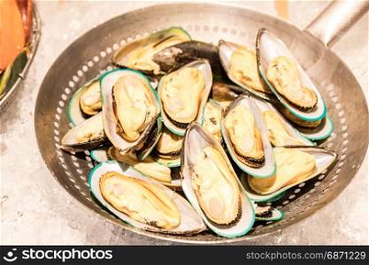 New zealand mussel seafood on ice