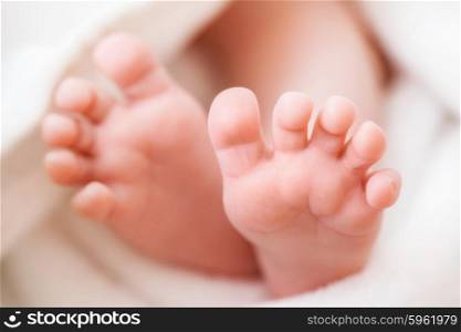 newborn baby feet in a towel