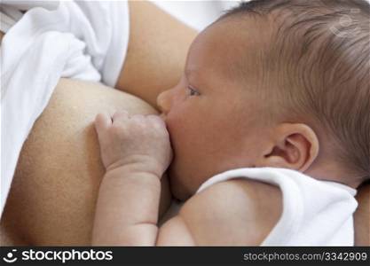 Newborn baby gets breastfeeding while his mother holds his hand
