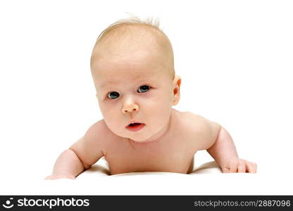 Newborn baby is crawling isolated on white