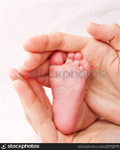 Newborn baby leg in careful hands