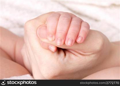 Newborn baby little hand in careful hands