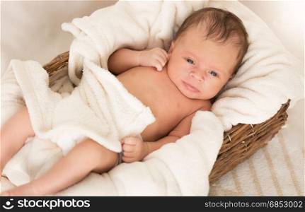 Newborn baby lying in big wicker basket under blanket