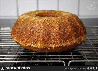 Newly baked delicious sponge cake at the top of a stove.