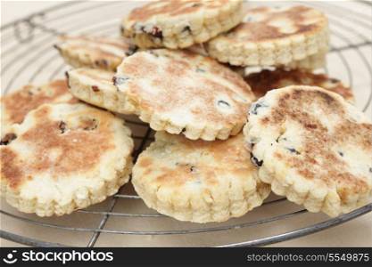 Newly home-made Welsh cakes cooking on a wire rack