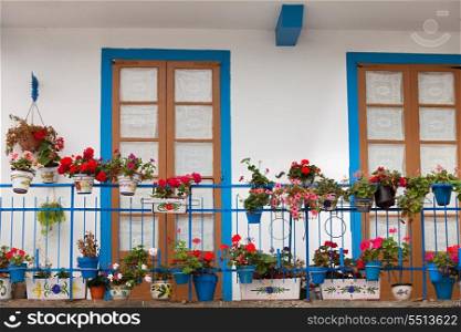 Nice balcony with blue doors and many potted geraniums