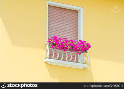 Nice balcony with fresh flowers