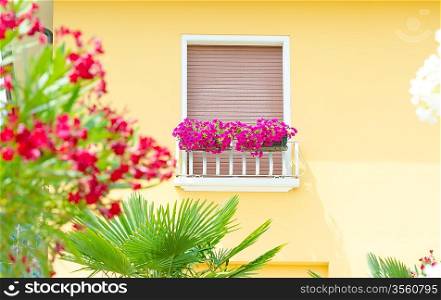 Nice balcony with fresh flowers