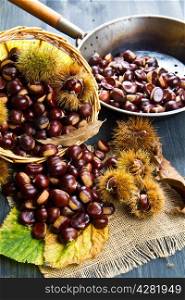 nice edible chestnuts