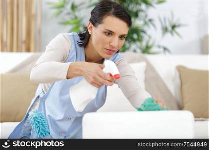 nice hard working woman spraying cleansing agent on the cushion