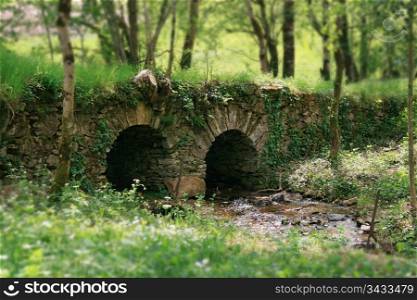 nice little stone bridge in a forest. little bridge on a river