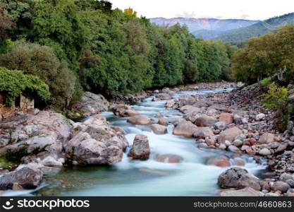 Nice river with clear water flowing between the rocks