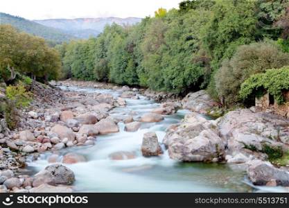 Nice river with clear water flowing between the rocks