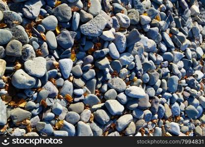 Nice round stone laying on the shore of lake Ontario, for background,under bright sunshine.