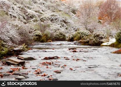 Nice snowy forest with a river in autumn