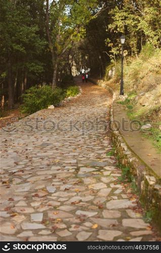 Nice stone path surrounded by trees