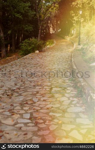 Nice sunny stone path surrounded by trees