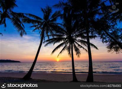 Nice sunset. Tropical sunset, palm trees