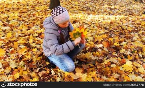 nice teen girl sits squatted and holds yellow leaves in beautiful autumn city park