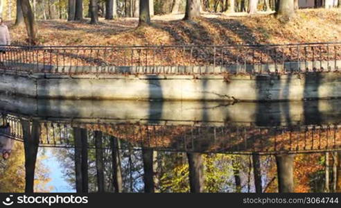 nice woman goes along shore of lake in beautiful autumn city park