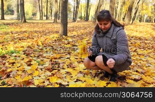 nice woman sits squatted and collects yellow leaves in beautiful autumn city park