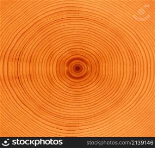 nice wood Background or texture. Wood Background
