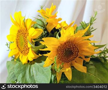 Nice yellow sunflower summer bouquet fragment
