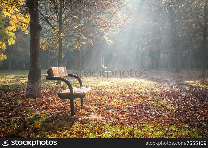 Nicely illuminated lonely park bench on an early foggy morning in autumn
