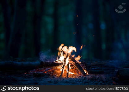 Night campfire at the night with blurred dark fores.. Night campfire at the night.