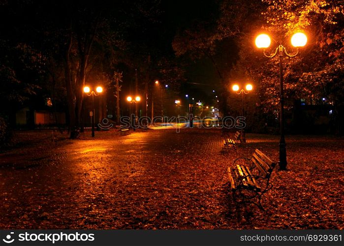 Night city park. night city park in Ivano-Frankivsk. Park night with lanterns and benches