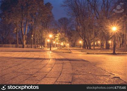 Night city park. Wooden benches, street lights and park alley